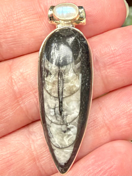 Gorgeous Orthoceras Fossil and Rainbow Moonstone Pendant - Morganna’s Treasures
