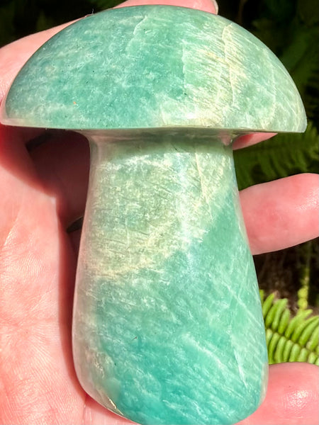 Stunning Amazonite Mushroom - Morganna’s Treasures