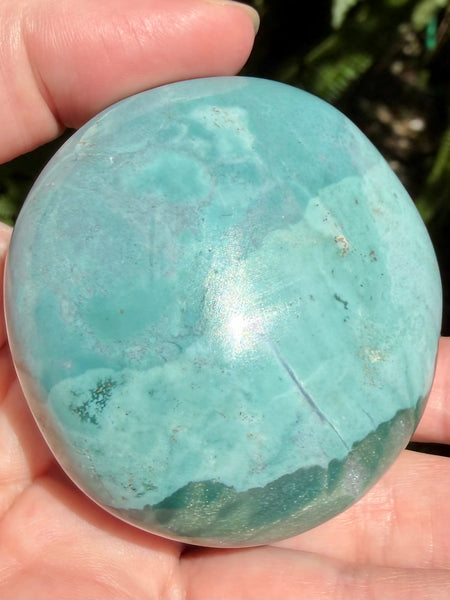 Beautiful Ocean Jasper Palm Stone