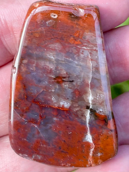 Petrified Wood Palm Stone - Morganna’s Treasures 