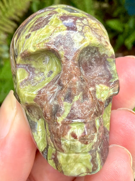 Money Agate Skull
