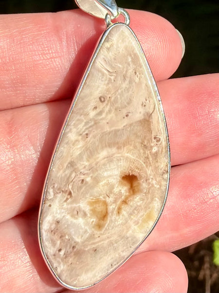 Petrified Wood Slice Pendant
