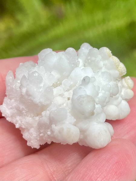 Fluorescent White Aragonite - Morganna’s Treasures 