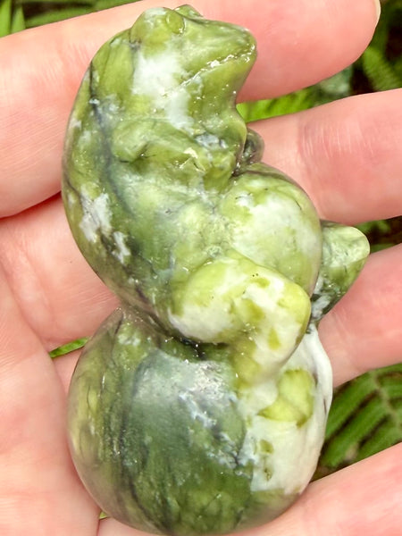 Serpentine Frog