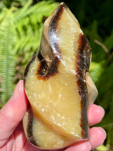 Septarian (Dragon's Stone) Flame - Morganna’s Treasures