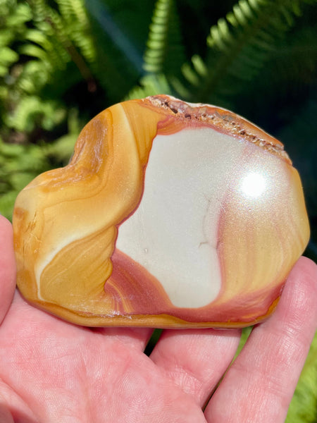 Rhyolite Palm Stone - Morganna’s Treasures 