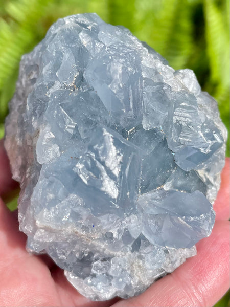 Large Celestite Cluster - Morganna’s Treasures 