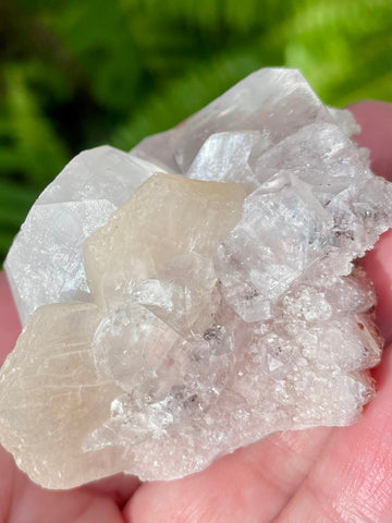 Apophyllite with Stilbite Crystal Cluster - Morganna’s Treasures 