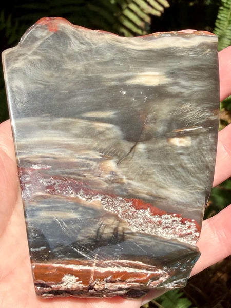 Gorgeous Cherry Creek Jasper Plate
