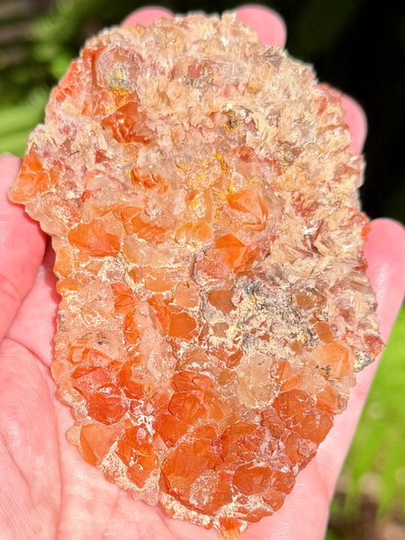 Beautiful Quartz with Hematite Inclusions Cluster