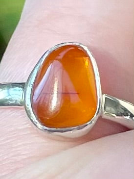 Baltic Amber Ring Size 7 - Morganna’s Treasures