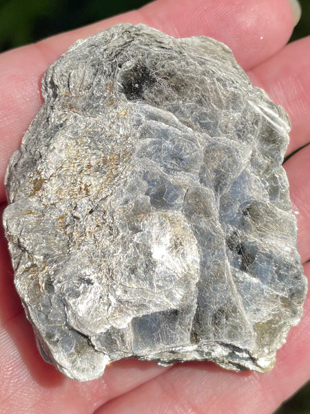 Biotite Mica Palm Stone - Morganna’s Treasures