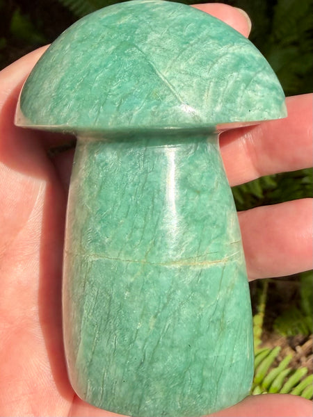 Stunning Amazonite Mushroom - Morganna’s Treasures