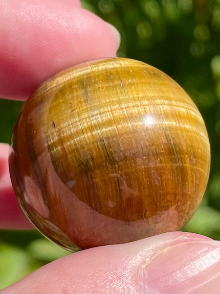 Tigers Eye Sphere - Morganna’s Treasures 