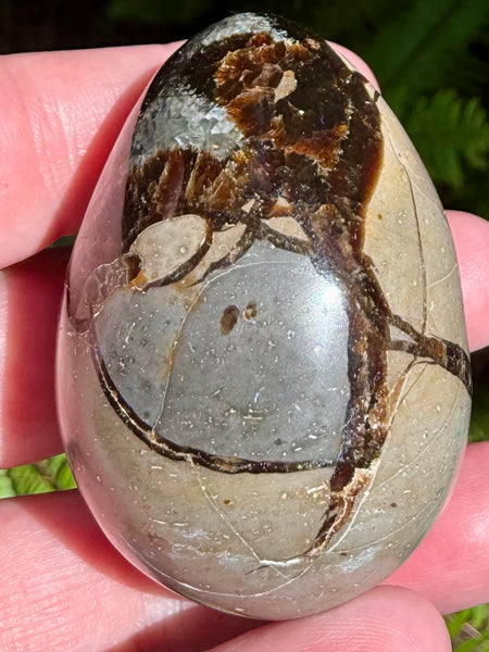 Septarian (Dragon Stone) Egg - Morganna’s Treasures