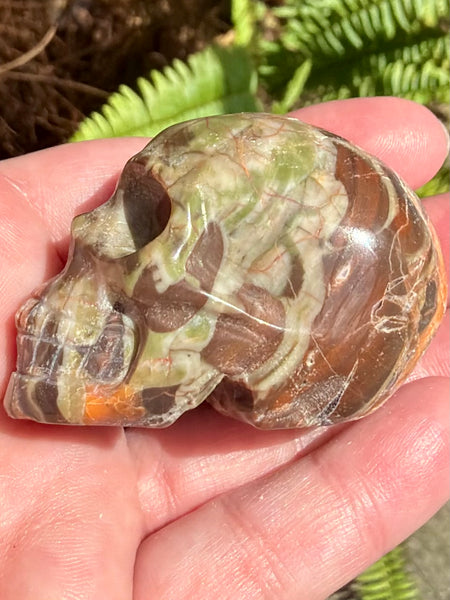 Money Agate Skull - Morganna’s Treasures