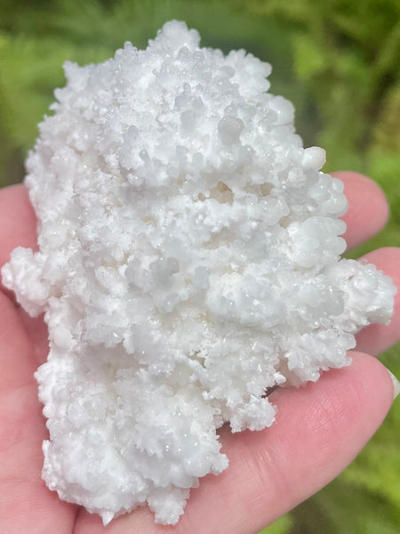 Fluorescent White Aragonite - Morganna’s Treasures 