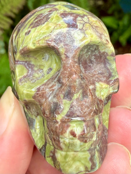 Money Agate Skull