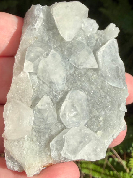 Apophyllite Cluster - Morganna’s Treasures