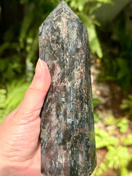 Stunning Large Astrophyllite Generator