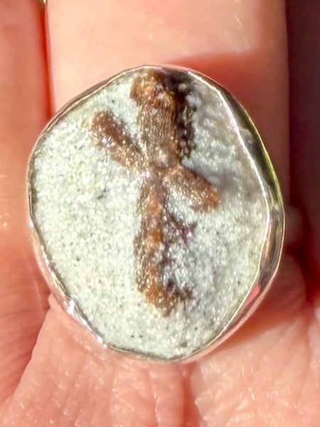 Staurolite (Fairy Cross) Ring Size 10 - Morganna’s Treasures