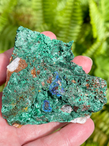 Azurite in Malachite from Morocco - Morganna’s Treasures 