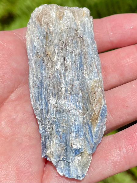 Rough Blue Kyanite - Morganna’s Treasures 