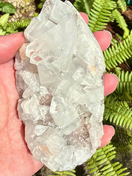 Apophyllite Cluster