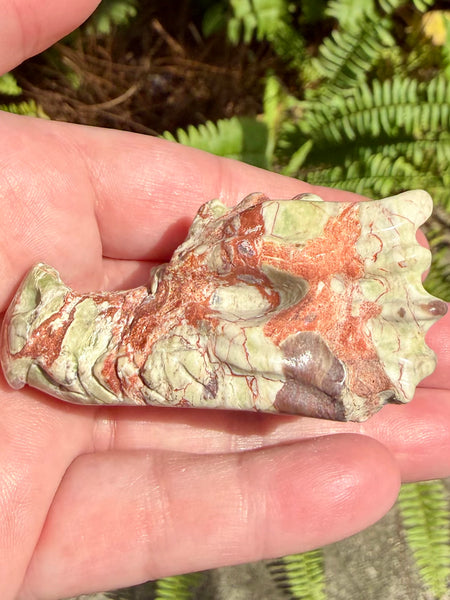 Money Agate Dragon - Morganna’s Treasures