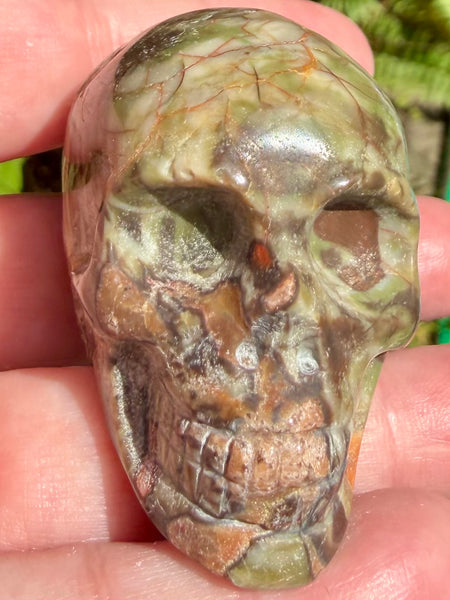 Money Agate Skull - Morganna’s Treasures