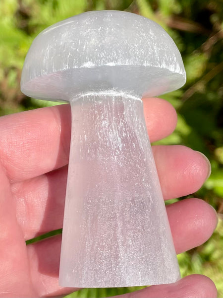 Selenite Mushroom