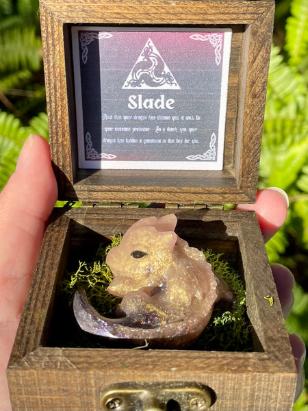 “Slade” Dragon Protector