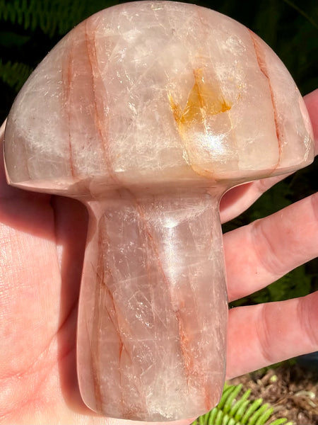 Beautiful Hematoid Quartz Mushroom - Morganna’s Treasures