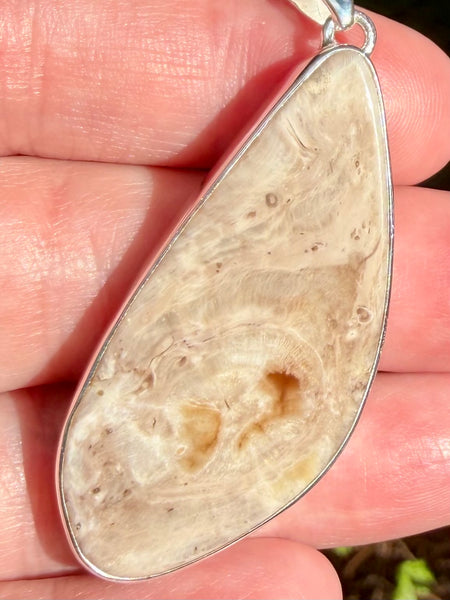 Petrified Wood Slice Pendant