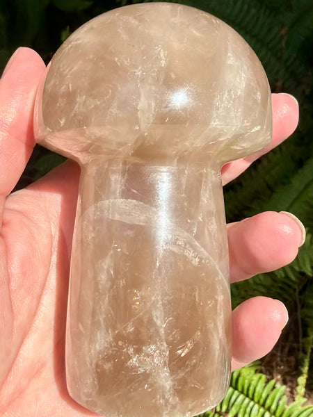 Gorgeous Smoky Quartz Mushroom - Morganna’s Treasures