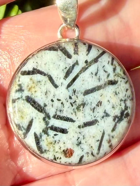 Hornblende Pendant - Morganna’s Treasures