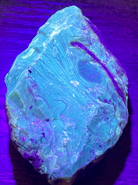 Fluorescent Blue Amber Palm Stone - Morganna’s Treasures 