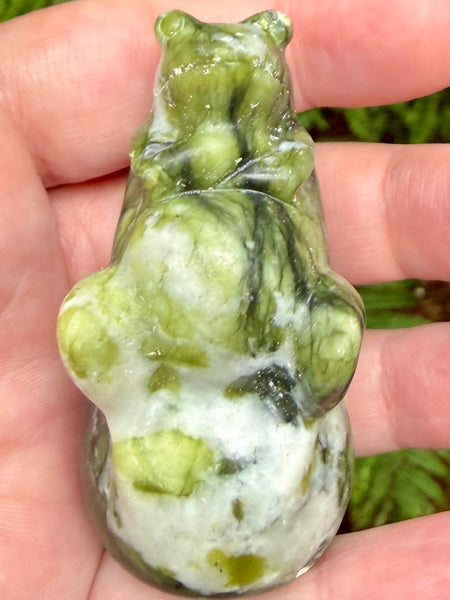 Serpentine Frog