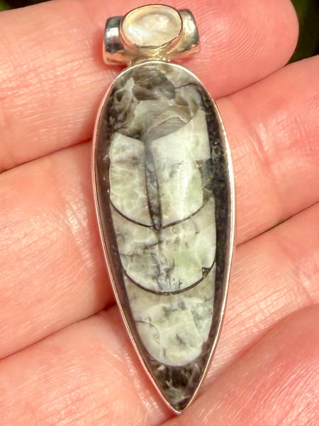 Gorgeous Orthoceras Fossil and Rainbow Moonstone Pendant - Morganna’s Treasures