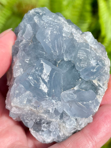 Large Celestite Cluster - Morganna’s Treasures 