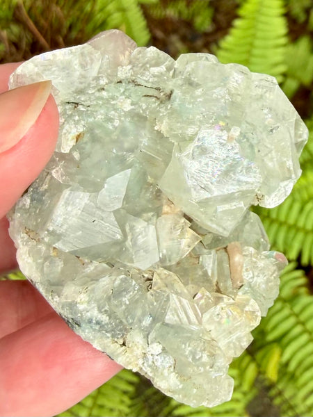 Apophyllite Cluster