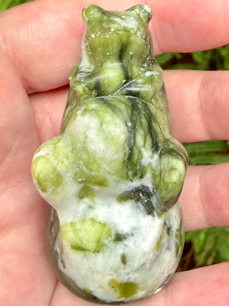 Serpentine Frog