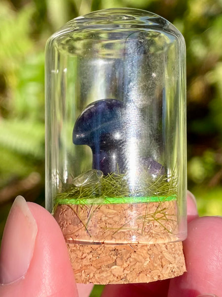 Fluorite Mushroom Terrarium