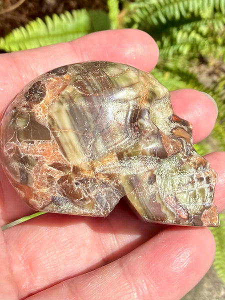 Money Agate Skull - Morganna’s Treasures