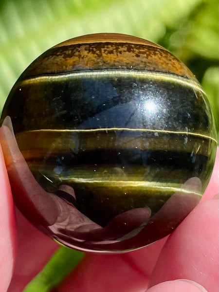 Tigers Eye Sphere - Morganna’s Treasures 