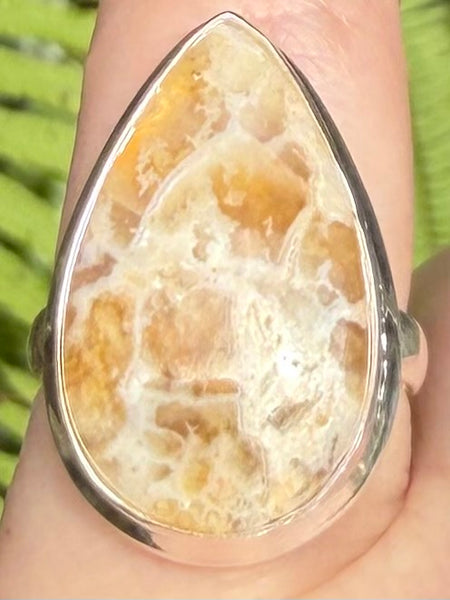 Graveyard Plume Agate Ring Size 6 - Morganna’s Treasures