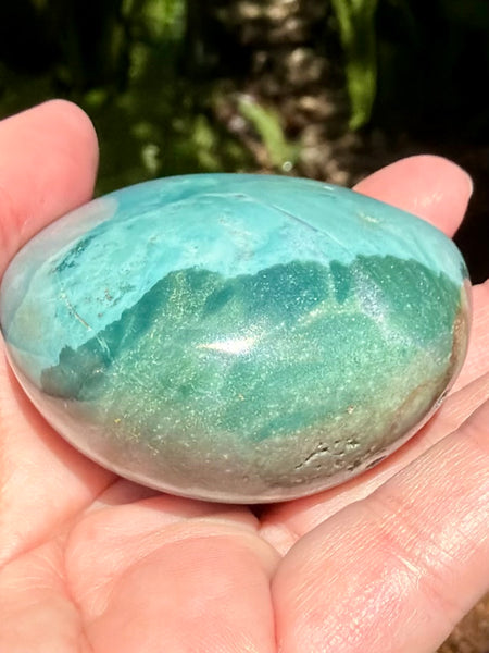 Beautiful Ocean Jasper Palm Stone