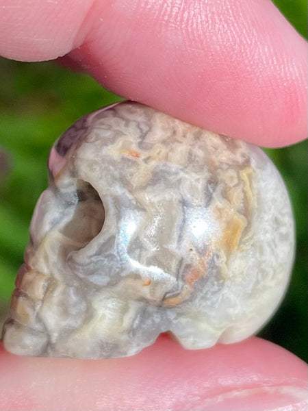 Small Crazy Lace Agate Skull - Morganna’s Treasures 