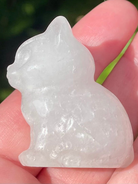 Clear Quartz Carved Cat - Morganna’s Treasures 