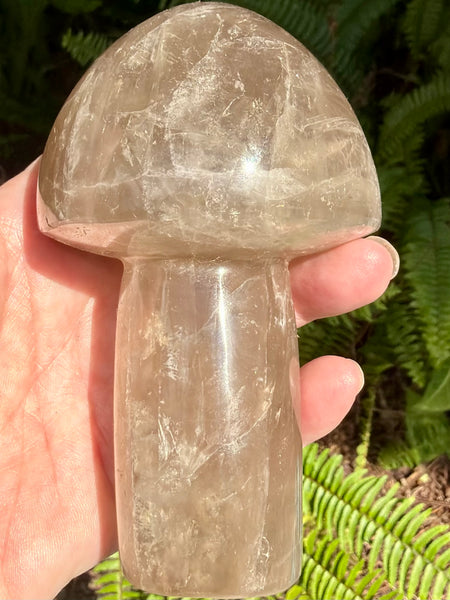 Gorgeous Smoky Quartz Mushroom - Morganna’s Treasures